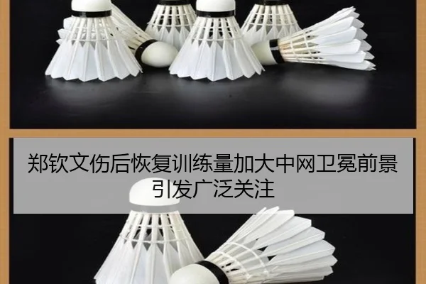 郑钦文伤后恢复训练量加大中网卫冕前景引发广泛关注